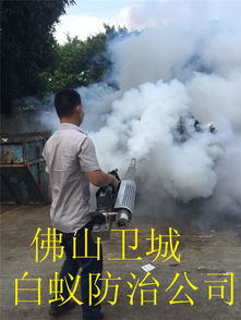 佛山地區(qū)完善蟲鼠害防治體系— 構(gòu)建生態(tài)宜居環(huán)境的堅(jiān)實(shí)屏障