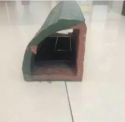 昌邑民聲在線 春季滅鼠行動(dòng)，守護(hù)家園健康