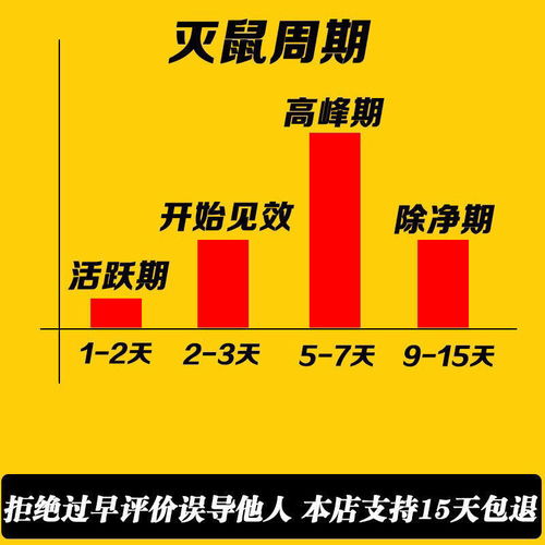 高效滅鼠指南 讓老鼠一窩端的正確方法
