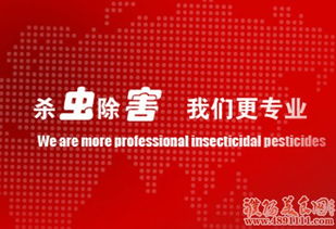 專業(yè)除害，守護(hù)健康 清波消殺滅鼠服務(wù)打造無(wú)憂環(huán)境