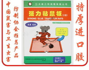 滅鼠用品 達(dá)州市滅鼠 達(dá)州消毒殺蟲 達(dá)州康潔消毒殺蟲公司 達(dá)州滅蟑螂 達(dá)州加香除臭 達(dá)州白蟻防治